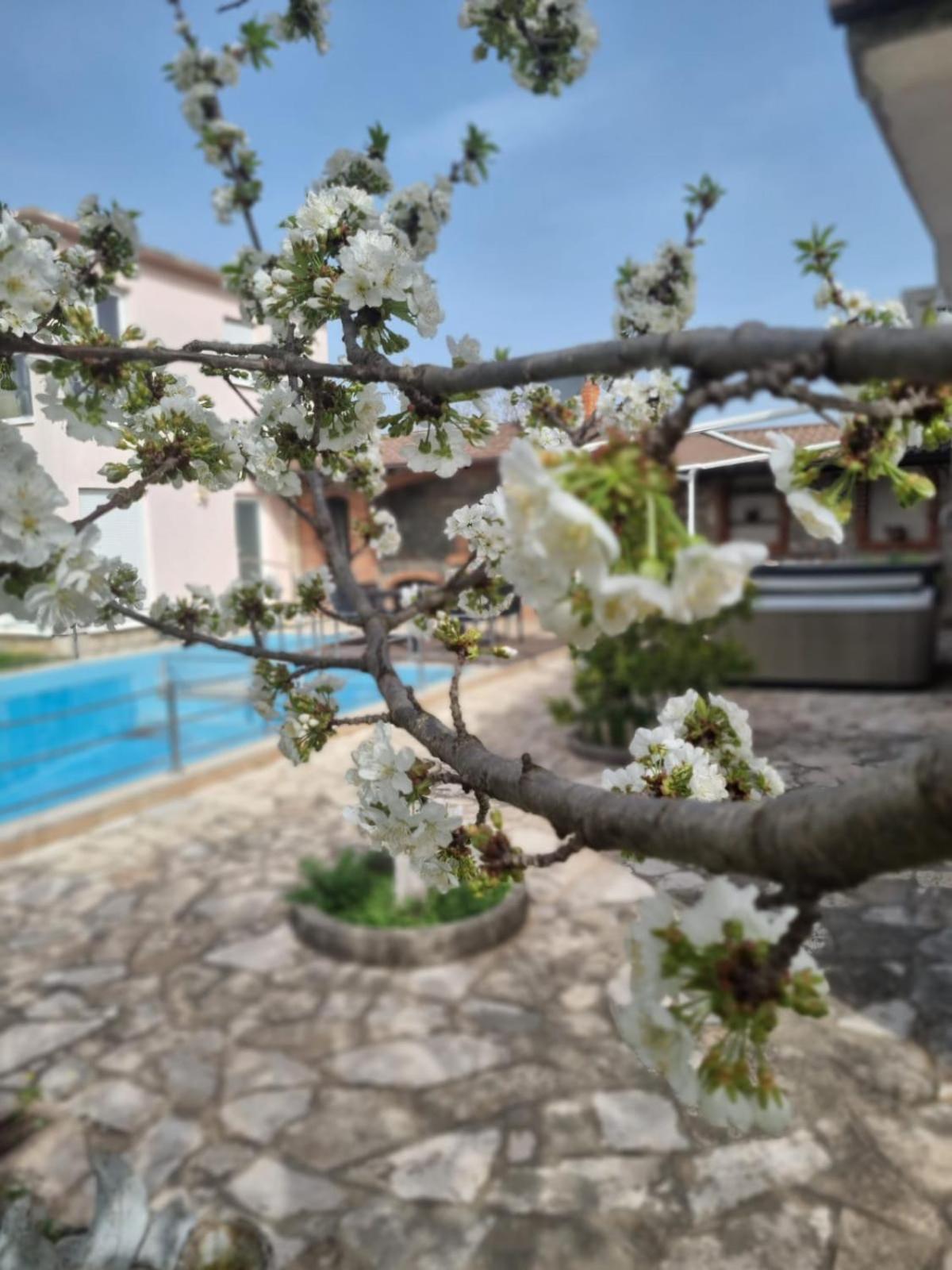 Hacienda Kolenda Apartment Mostar Exterior foto